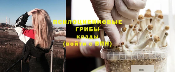 а пвп мука Алексин